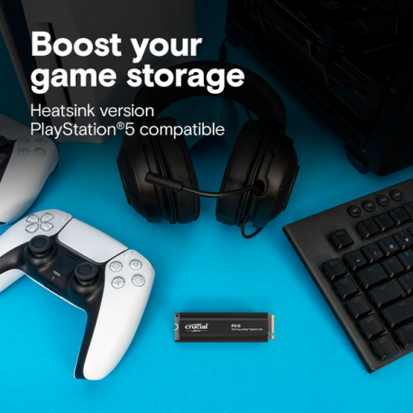 Crucial P310 - SSD - 1 TB - internal - M.2 2280 - PCIe 4.0 x4 (NVMe) - integrated heatsink - 5