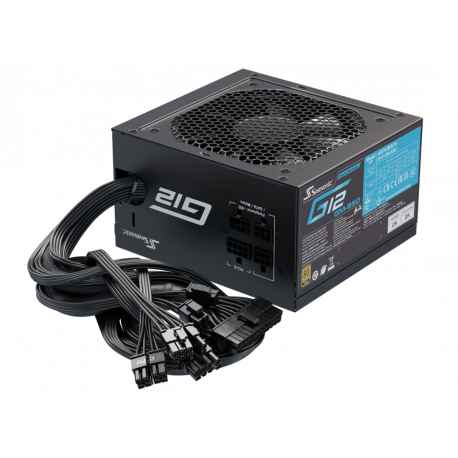 Seasonic FOCUS GM 850 - Power supply (internal) - ATX12V - 80 PLUS Gold - AC 100-240 V - 850 Watt - 3