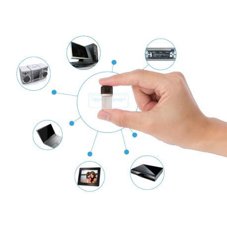 Transcend JetFlash 890 - USB flash drive - 256 GB - USB 3.1 Gen 1 / USB-C - silver - 5