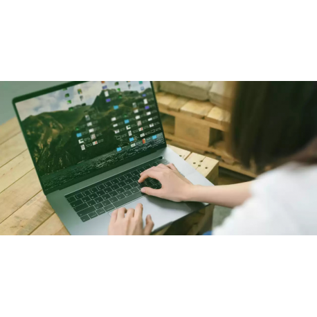 WD Green SN350 - SSD - 500 GB - internal - M.2 2280 - PCIe 3.0 x4 (NVMe) - 4