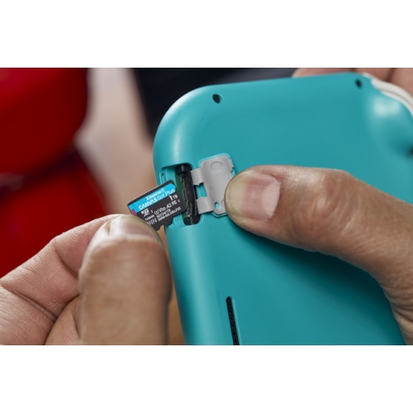 Kingston Canvas Go! Plus - Flash memory card (microSDXC to SD adapter included) - 1 TB - A2 / Video Class V30 / UHS-I U3 / Class10 - microSDXC UHS-I - 7