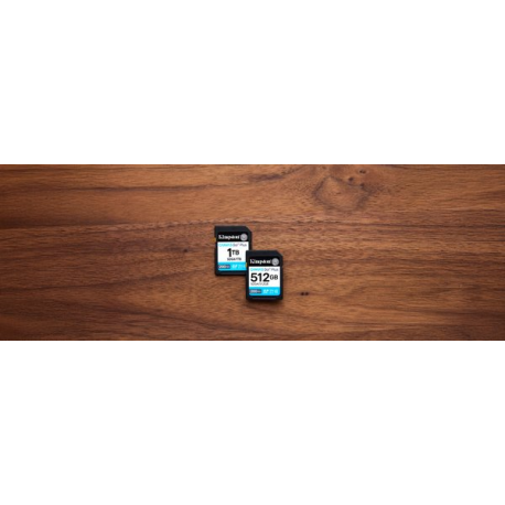 Kingston Canvas Go! Plus - Flash memory card - 512 GB - Video Class V30 / UHS-I U3 / Class10 - SDXC UHS-I - 1