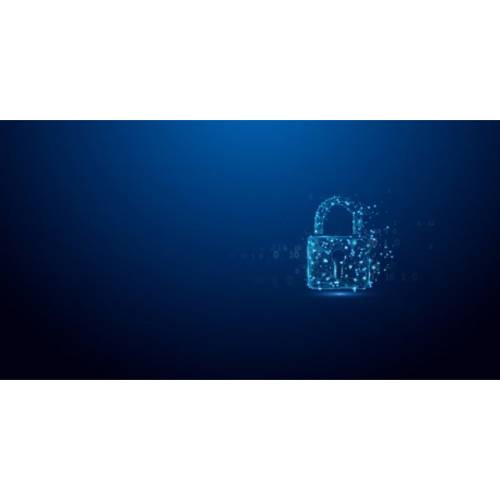 Kingston DC3000ME - SSD - Enterprise - encrypted - 15.36 TB - internal - 2.5" - U.2 PCIe 5.0 x4 (NVMe) - 256-bit AES - TCG Opal Encryption 2.0 - 8