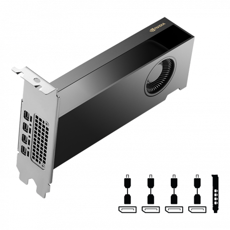 NVIDIA - Graphics card - NVIDIA RTX 2000 Ada - 16 GB GDDR6 - PCIe 4.0 x8 - 4 x Mini DisplayPort - 1