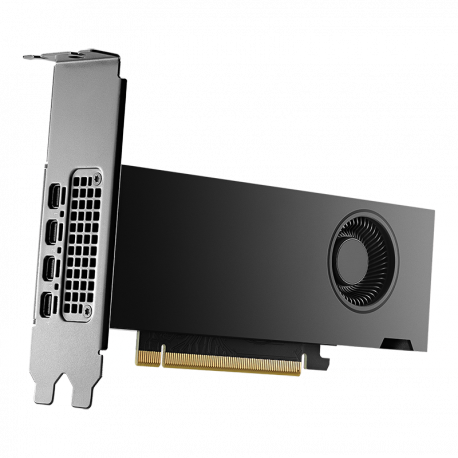 NVIDIA - Graphics card - NVIDIA RTX 2000 Ada - 16 GB GDDR6 - PCIe 4.0 x8 - 4 x Mini DisplayPort - 2