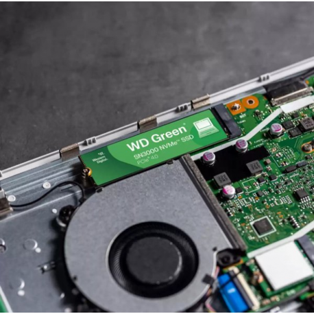 WD Green SN3000 WDS500G4G0E-00CPS0 - SSD - 500 GB - internal - M.2 2280 - PCIe 4.0 x4 (NVMe) - 3