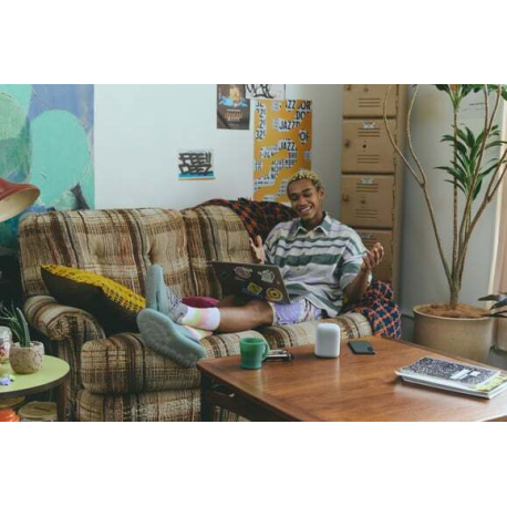 Sony LinkBuds SRS-LS1 - Speaker - for portable use - wireless - Bluetooth - App-controlled - 2-way - light grey - 8