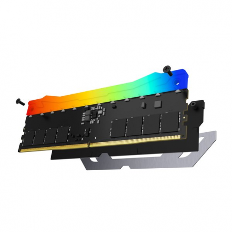 Kingston FURY Renegade RGB - DDR5 - kit - 48 GB: 2 x 24 GB - DIMM 288-pin - 4200 MHz / PC5-67200 - CL40 - 1.45 V - unbuffered - on-die ECC - black & silver - 4