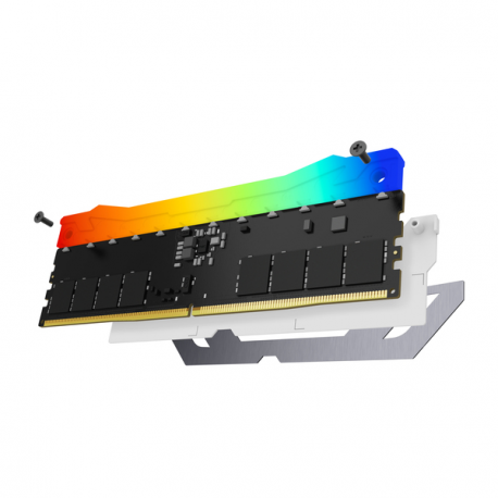 Kingston FURY Renegade RGB - DDR5 - kit - 48 GB: 2 x 24 GB - DIMM 288-pin - 4200 MHz / PC5-67200 - CL40 - 1.45 V - unbuffered - on-die ECC - white & silver - 4