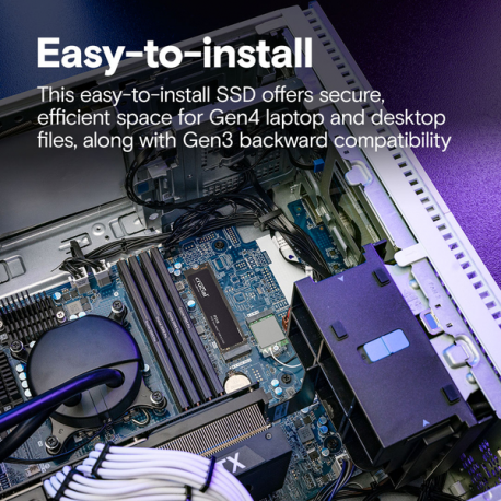 Crucial P310 - SSD - 500 GB - internal - M.2 2280 - PCIe 4.0 x4 (NVMe) - 5