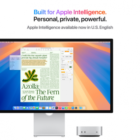 Apple Mac mini - M4 up to - RAM 16 GB - SSD 512 GB - Apple M4 10-core - Gigabit Ethernet, IEEE 802.11ax (Wi-Fi 6E), Bluetooth 5.3 - macOS Sequoia 15.0 - monitor: none - silver - 3