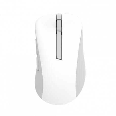 ASUS MD102 - Mouse - ergonomic - optical - 5 buttons - wireless - Bluetooth, 2.4 GHz - USB wireless receiver - white - 0