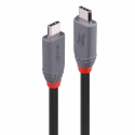 Lindy Anthra Line - USB cable - 24 pin USB-C (M) to 24 pin USB-C (M) - USB4 Gen3x2 - 48 V - 5 A - 80 cm - 4K60Hz (3840 x 2160) support, 8K60Hz (7680 x 4320) support - black
