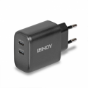 Lindy - Power adapter - 65 Watt - 4.05 A - Power Delivery 3.0 + PPS, QC 4.0 - 2 output connectors (24 pin USB-C) - black - Europe