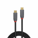 Lindy Anthra Line - USB cable - USB-C (M) to USB-C (M) - USB 3.1 - 1 m - round - black