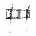 Gembird WM-80T-01 - Mounting kit (wall mount) - for flat panel - Tilt - steel - fine texture black - screen size: 37"-80"