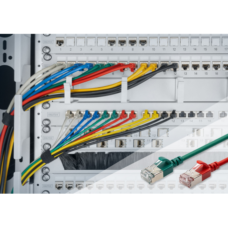 DIGITUS - Patch cable - RJ-45 (M) to RJ-45 (M) - 30 cm - 3.8 mm - F / FTP - CAT 6a - IEEE 802.3 - halogen-free, slim - red - 2