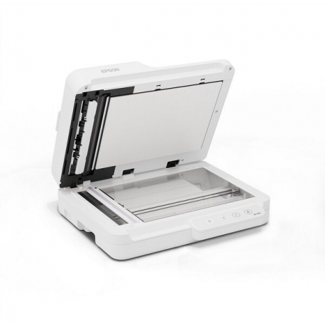 Epson WorkForce DS-1730 - Document scanner - Duplex - 215.9 x 3048 mm - 1200 dpi x 1200 dpi - up to 30 ppm (mono) / up to 30 ppm (colour) - ADF (60 sheets) - up to 3000 scans per day - USB 2.0 - 1