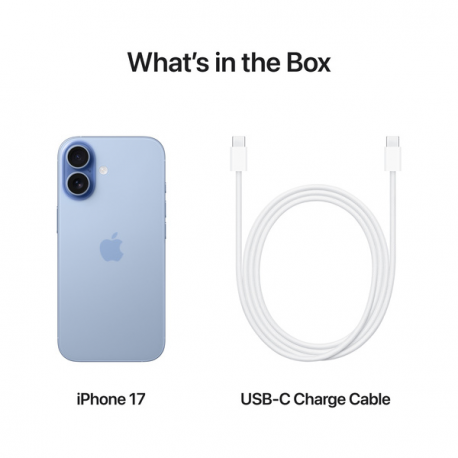 Apple iPhone 17 - 5G smartphone - dual-SIM  /  Internal Memory 256 GB - OLED display - 6.3" - 2622 x 1206 pixels (120 Hz) - 2x rear cameras 48 MP, 48 MP - front camera 18 Megapixel - mist blue - 7