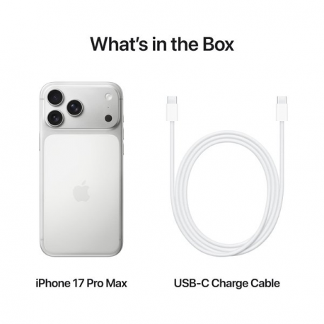Apple iPhone 17 Pro Max - 5G smartphone - dual-SIM  /  Internal Memory 256 GB - OLED display - 6.9" - 2868 x 1320 pixels (120 Hz) - 3x rear cameras 48 MP, 48 MP, 48 MP - front camera 18 Megapixel - silver - 6