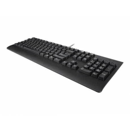 Lenovo Preferred Pro II - Keyboard - full size - USB - QWERTY - Swedish / Finnish - black - brown box - 0