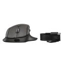HP 785M - Mouse - right-handed - optical - 6 buttons - wireless - Bluetooth, 2.4 GHz - USB wireless receiver - black