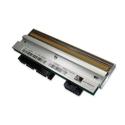Zebra - 300 dpi - printhead