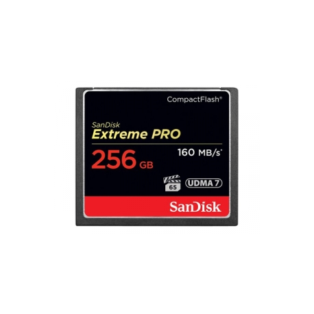 SanDisk Extreme Pro - Flash memory card - 256 GB - 933x / 1067x - CompactFlash - 0