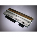 Zebra - 300 dpi - printhead - for Zebra ZM600; Z Series ZM600