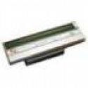 Zebra - 203 dpi - printhead - for Zebra ZM600; Z Series ZM600