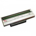 Zebra - 203 dpi - printhead - for Zebra ZT220, ZT230
