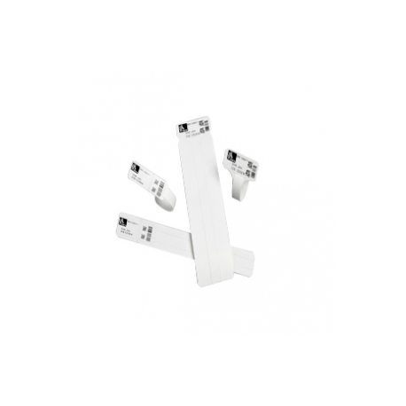 Zebra Z-Band Direct Adult Size - Polypropylene (PP) - adhesive - 25.4 x 279.4 mm 1050 pcs. (6 roll(s) x 175) wristbands - for Zebra HC100, HC100 Patient I.D. Solution - 1