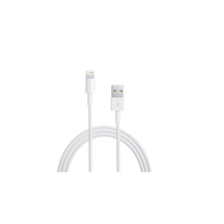 Apple Lightning to USB Cable - iPad  /  iPhone  /  iPod charging  /  data cable - Lightning  /  USB - USB (M) - to - Lightning (M) - 1 m - 0