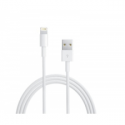 Apple Lightning to USB Cable - iPad  /  iPhone  /  iPod charging  /  data cable - Lightning  /  USB - USB (M) - to - Lightning (M) - 1 m