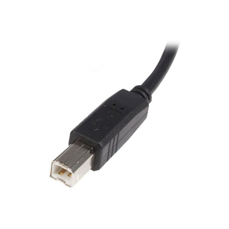 StarTech.com 2m USB 2.0 A to B Cable M / M - USB cable - USB (M) to USB Type B (M) - USB 2.0 - 2 m - black - 3