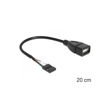 DeLOCK - USB internal to external cable - USB (F) to 4 pin USB 2.0 header (F) - 20 cm - 0