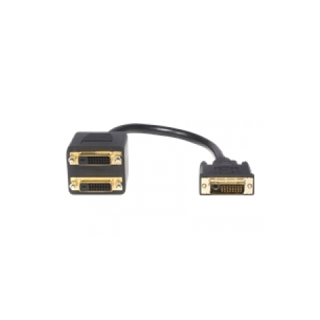 StarTech.com 1 ft DVI-D to 2x DVI-D Digital Video Splitter Cable - M / F (DVISPL1DD) - Video splitter - dual link - DVI-D female to DVI-D male - 30.5 cm - shielded - black - for P / N: DVIDDMM1, DVIDDMM10M, DVIDDMM25, DVIDDMM2M, DVIDDMM3M, DVIDDMM5M - 0