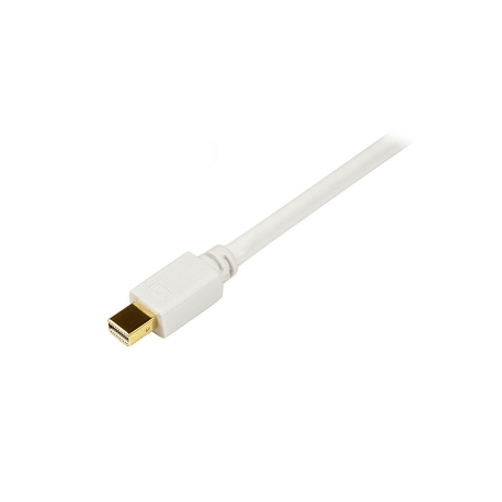 StarTech.com 10 ft DisplayPort to DVI Video Adapter Converter Cable - M / M (DP2DVIMM10) - DisplayPort cable - DisplayPort (M) to DVI-D (M) - 3 m - black - for P / N: DPPNLFM3, DPPNLFM3PW - 3