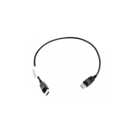 Lenovo - DisplayPort cable - DisplayPort (M) to DisplayPort (M) - 0.5 m - for ThinkCentre M70q Gen 2; M75s Gen 2; M80t Gen 3; M90q Gen 3; V50t Gen 2-13 - 0