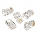 cablexpert - Network connector - RJ-45 (M) - unshielded - CAT 5 (pack of 10)