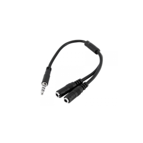 StarTech.com Headset Adapter, Microphone and Headphone Splitter - 3.5mm Male Aux to 3.5mm Female Audio & Mic Combo Jack Y Cable for Laptop  /  PC (MUYHSMFF) - Headset splitter - stereo mini jack female to 4-pole mini jack male - 20 cm - black - for P / N: DK30A2DH, DK30CHDDPPD, DK30CHDPPDUE, MST30C2HDPPD, USB3SMDOCK4K, USB3VDOCKD - 0
