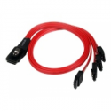 StarTech.com 50cm SFF-8087 to 4x SATA - Internal Mini SAS to SATA Reverse Cable - internal Mini SAS to SATA (SAS8087S4R50) - SATA  /  SAS cable - Serial ATA 150 / 300 / 600 - 4-Lane - SATA (R) to 36 pin 4i Mini MultiLane (P) - 50 cm - latched - red