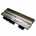 Citizen - 203 dpi - printhead - for Citizen CL-E720