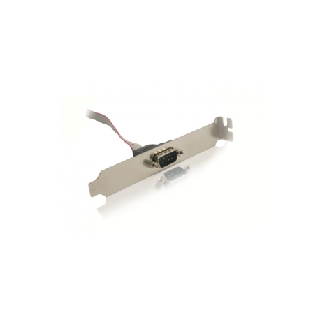 Cablexpert - Serial panel - DB-9 (M) to 10 PIN IDC (M) - 25 cm - 0